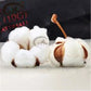 Flashwicks Long-staple AngoRabbit wicking NASTY KENDO Cotton Bacon Prime Cotton DIY Filling Material