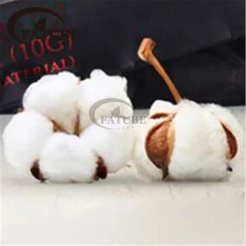 Flashwicks Long-staple AngoRabbit wicking NASTY KENDO Cotton Bacon Prime Cotton DIY Filling Material